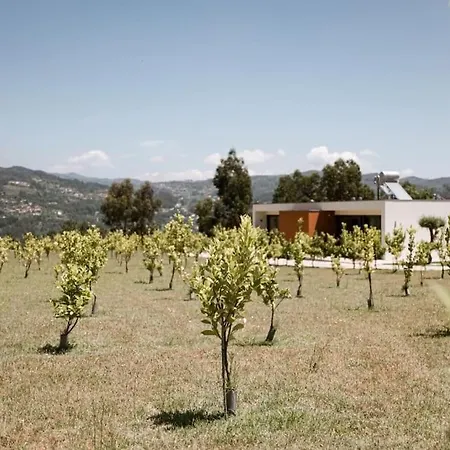 Souto Village - By Fero - Private Pool & Lemon Farm * Pacos de Gaiolo