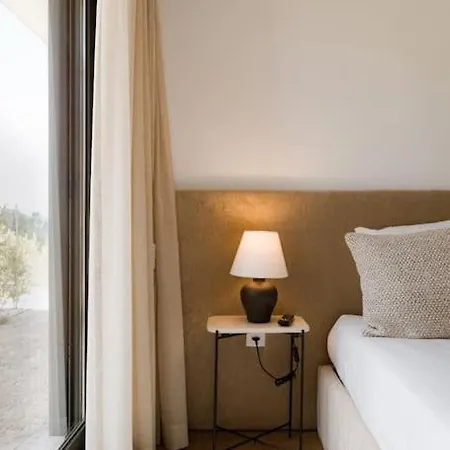 Souto Village - By Met - Private Pool & Lemon Farm Villa Pacos de Gaiolo