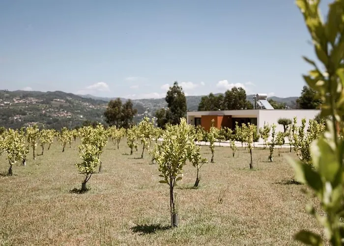 Souto Village - By Rowdhouses - Private Pool & Lemon Farm * Pacos de Gaiolo